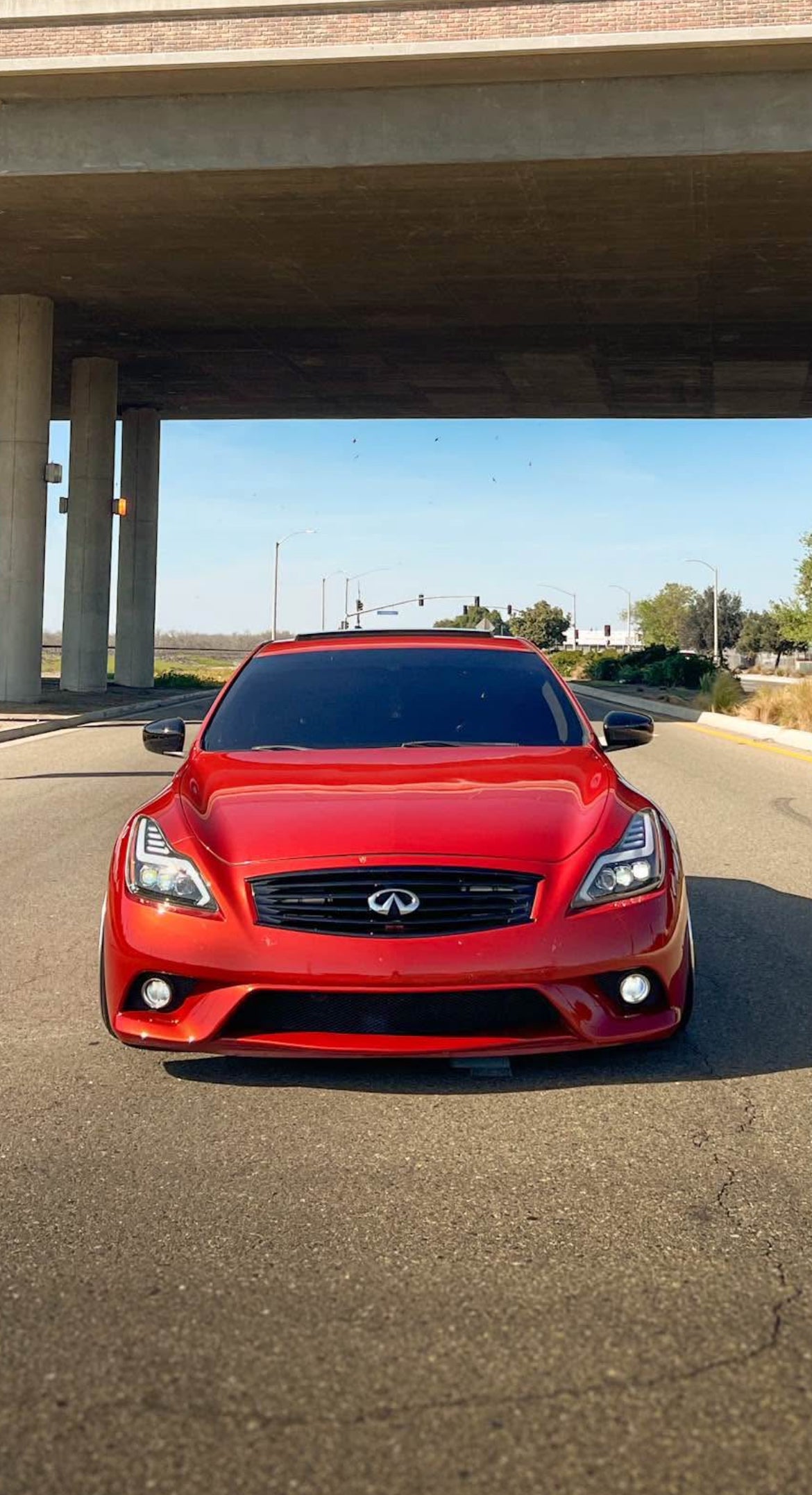 G37/Q60 VHR Coupe OEM Style Gloss Black Grill | G37 Coupe VQ37VHR - Cosmetic, Coupe, Discount $10, Ebay, G37