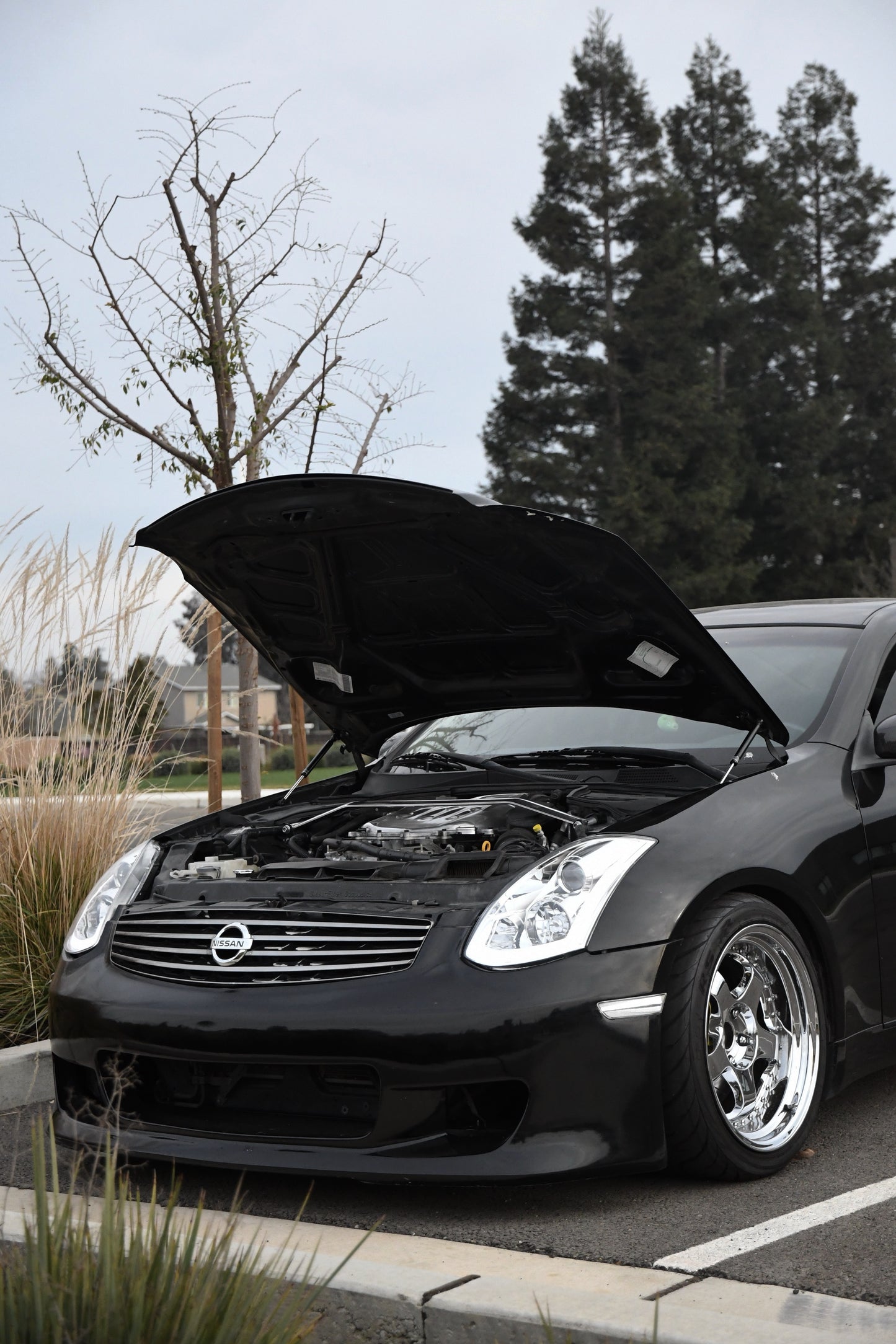 G35 Hood Strut Damper Kit | Carbon Fiber Edition