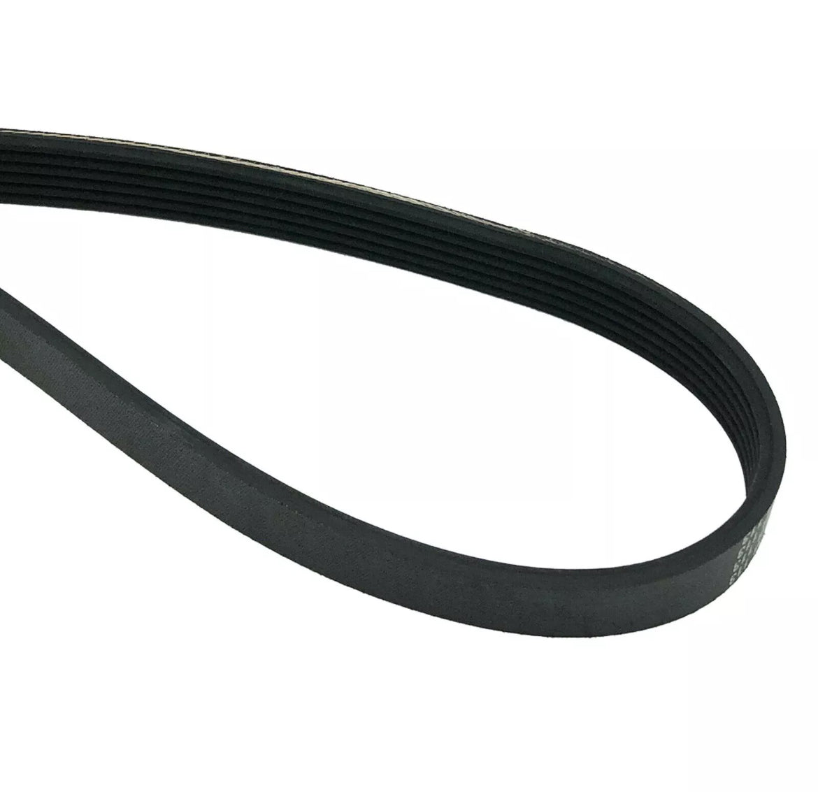 DE Model G35/350Z PDM Serpentine Belt | VQ35DE OEM Replacement