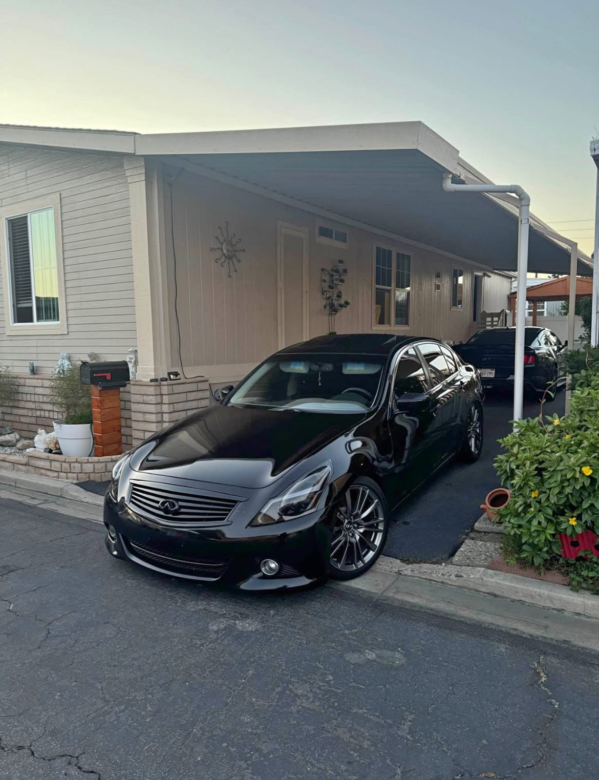 G37 Sedan OEM Style Gloss Black Grill | G37 Sedan VQ37VHR