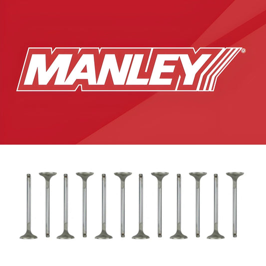 Manley Nissan 3.5L V6 (VQ35DE VQ35DET) DOHC 24 Intake 38mm Stainless Race Master Valves